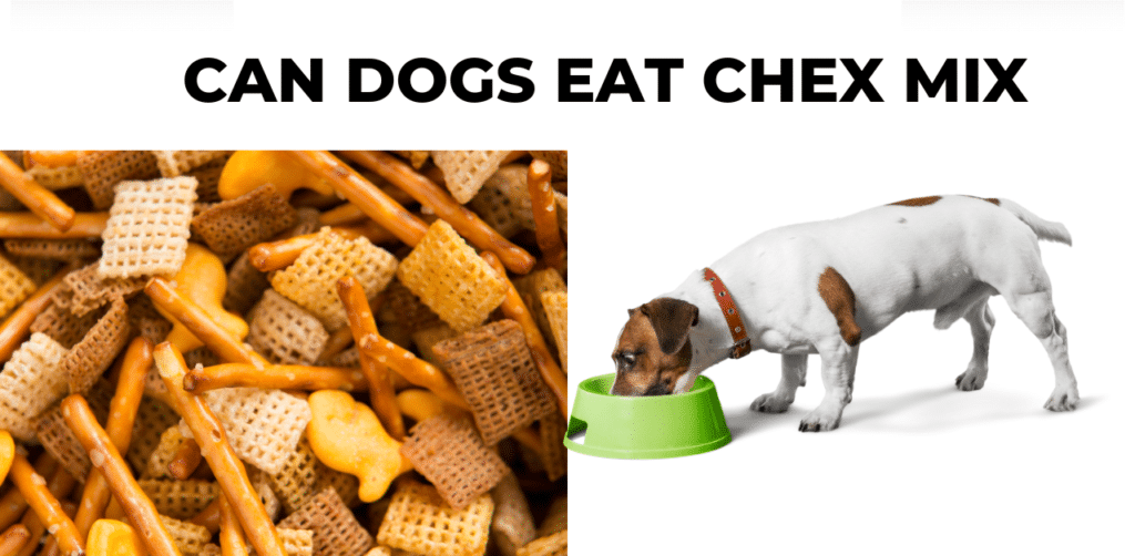 Can Dogs Eat Chex Mix?