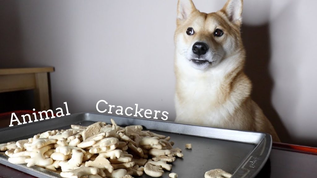 can dogs eat animal crackers safely
