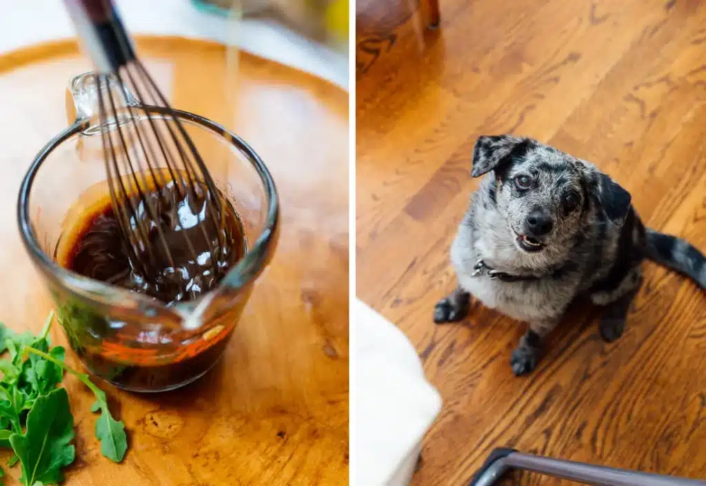 can dogs eat balsamic vinegar?