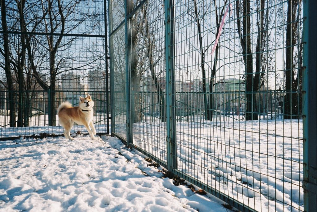husky fence