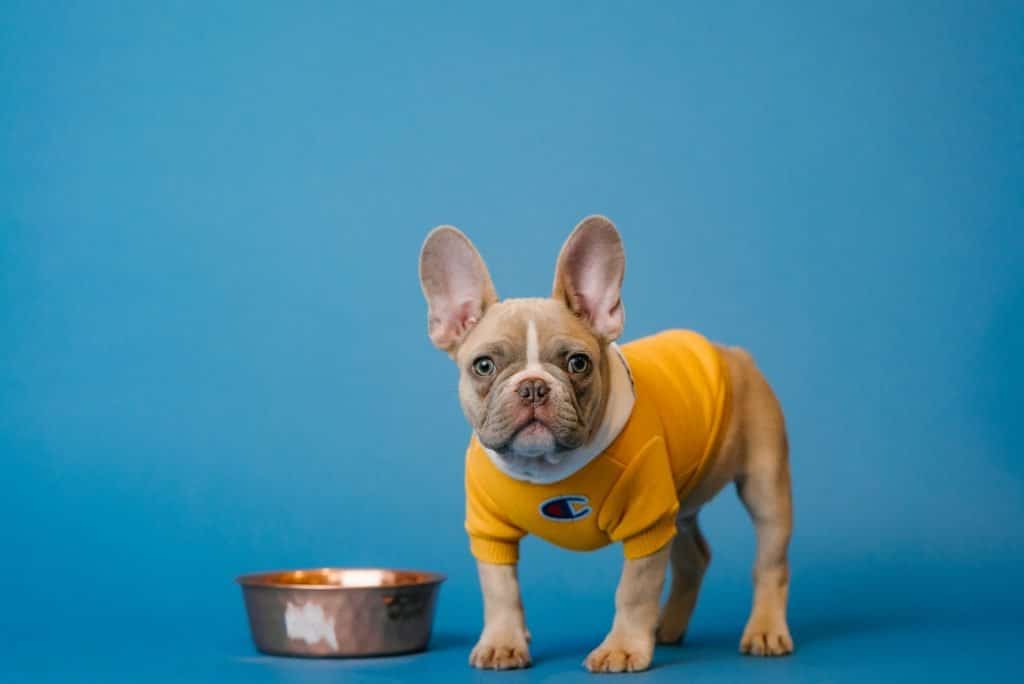 karsten winegeart tIWBJN8t7zE unsplash 1