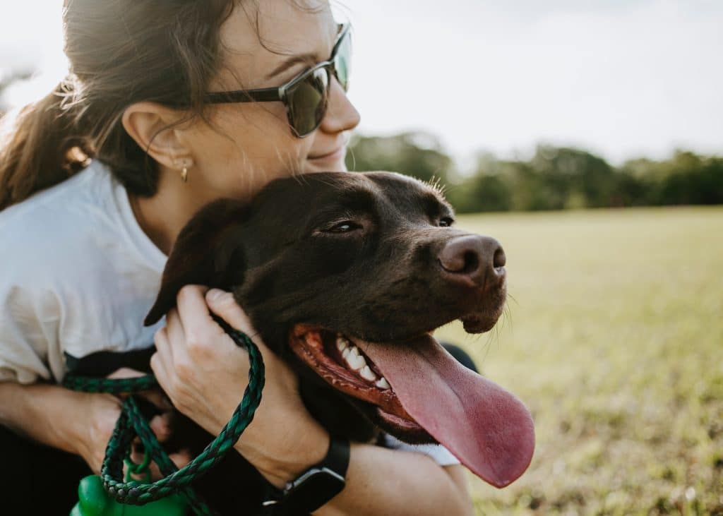 How to make your dog happy